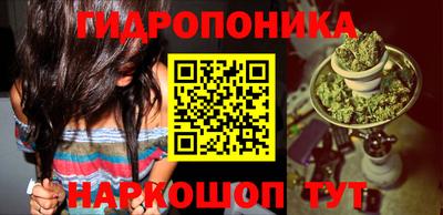 гидра Дубна
