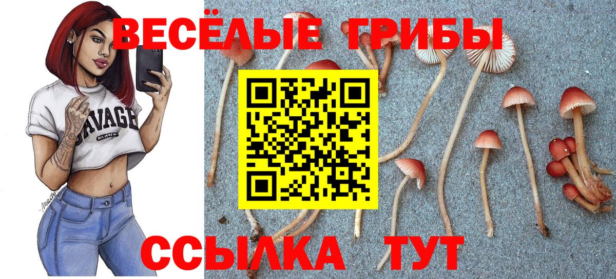 Феодосия  Галлюциногенные грибы ЛСД  Галлюциногенные грибы Cubensis  Вход с VPN 