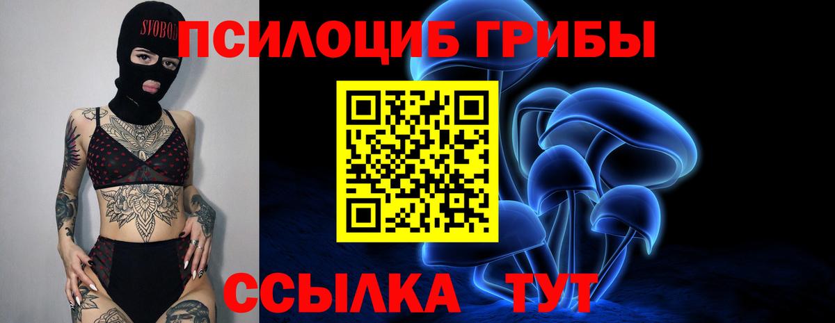 Псилоцибиновые грибы MAGIC MUSHROOMS Феодосия